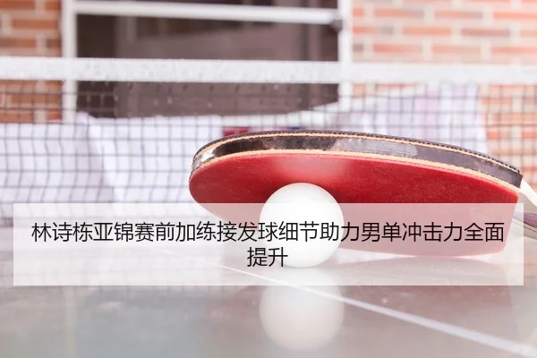 林诗栋亚锦赛前加练接发球细节助力男单冲击力全面提升