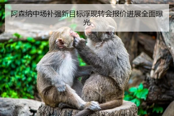 阿森纳中场补强新目标浮现转会报价进展全面曝光